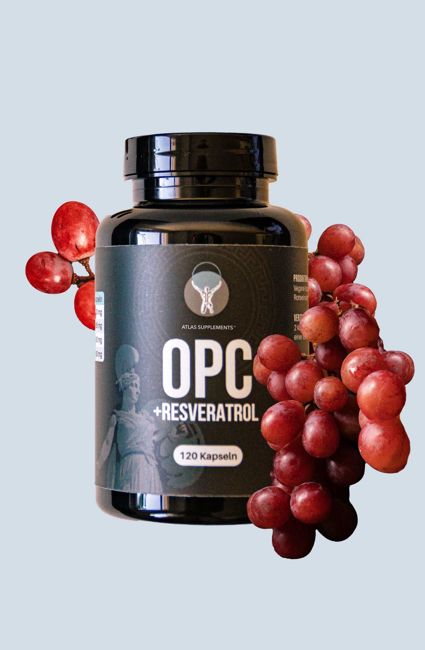 OPC + Resveratrol – Anti-Aging und Zellperformance für einen schwungvollen Alltag